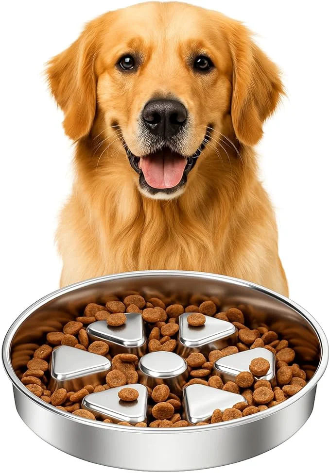 Next-Generation Kactoily 304 Stainless Steel Slow Feeder Dog Bowl 2.5 Cups Non-Slip Pet Bowl Raised Design for Slow Eating Digestive Health - for Medium Large DogsAbout ThisOverview User-Friendly