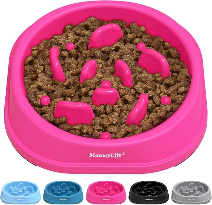 Fast MateeyLife Small Slow Feeder Cat Bowls Anti-Choking Puzzle Cat Food Bowls Non Slip Interactive Dog Feeding Slow Down Eating Bloat Stop Maze Dishes Dog Feeder for Small Breeds 1 Cup PurpleAbout ThisOverview Lightweight