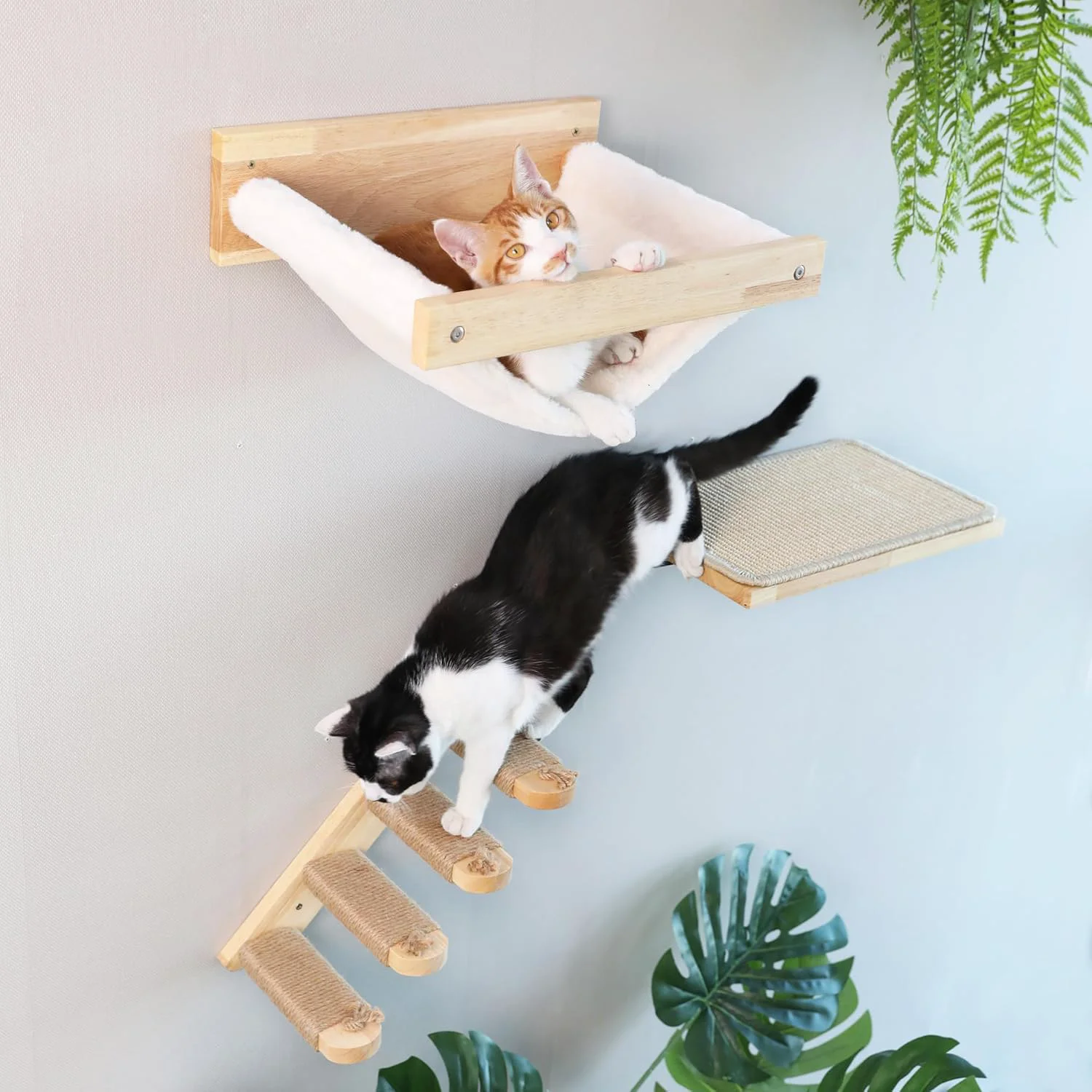 Relaxed FUKUMARU Cat Wall Furniture 3 Pack Cats Walls Shelves Set Solid Rubber Wood Kitten Shelf for Sleeping Playing Climbing and Lounging Practical