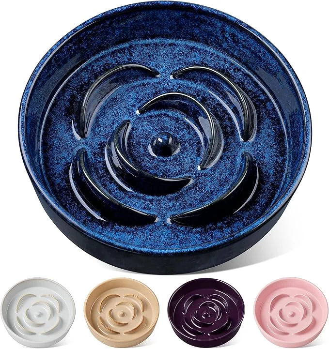 Solid vancasso Slow Feeder Dog Bowl 3 Cups Ceramic Slow Feeder for Large Breed Puzzle Maze Dog Food Bowl for Fast Eater BlueAbout ThisOverview Effective