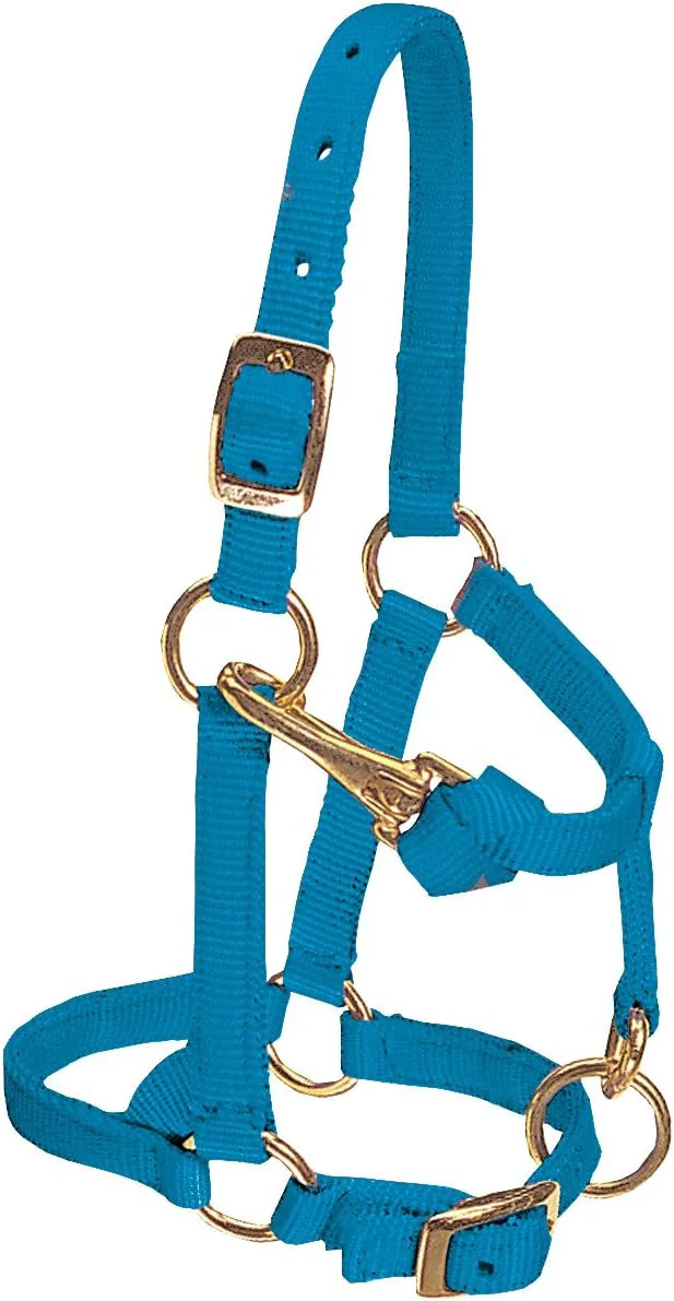 Powerful Weaver Leather Adjustable Nylon Horse Halter High-End