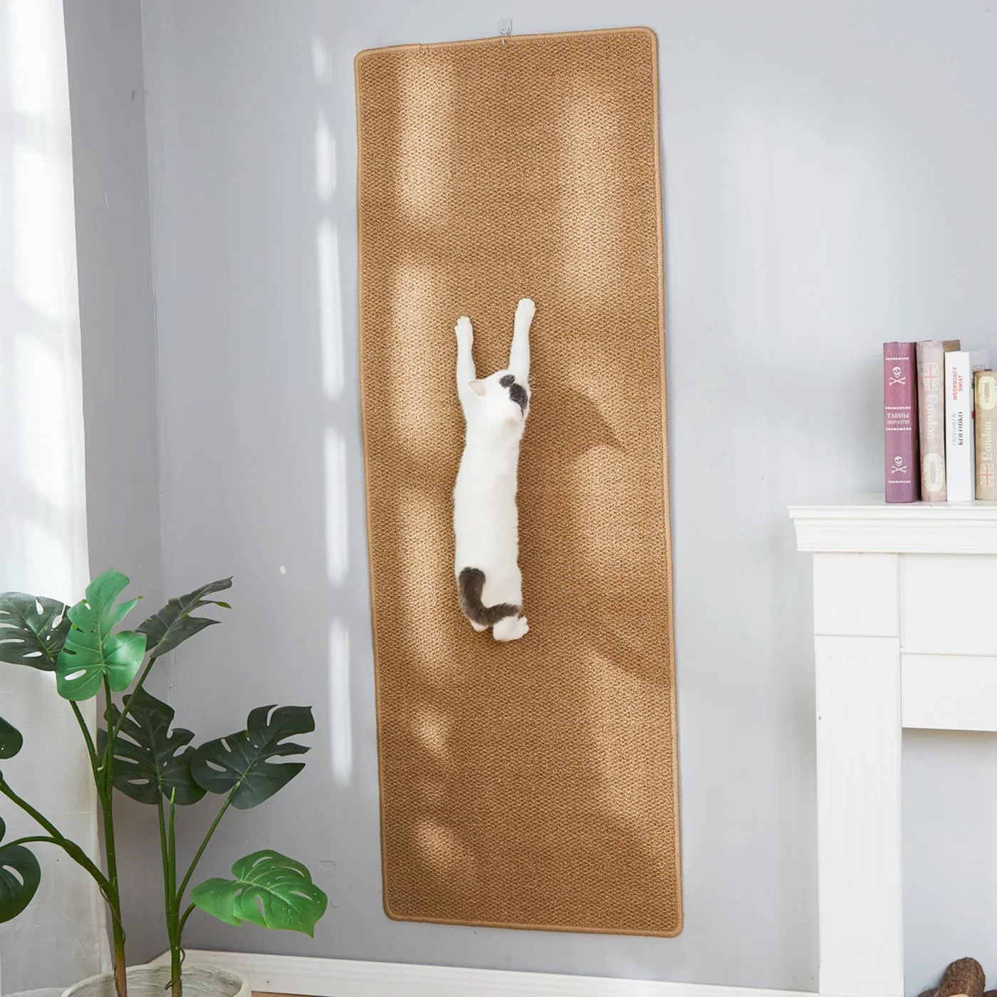 Prestigious SHENGOCASE 67 x 23.6 Thickened Cat Wall Climbing Carpet Cat Wall Furniture Scratcher Scratching Post Couch Sofa Protector Camel First-Class