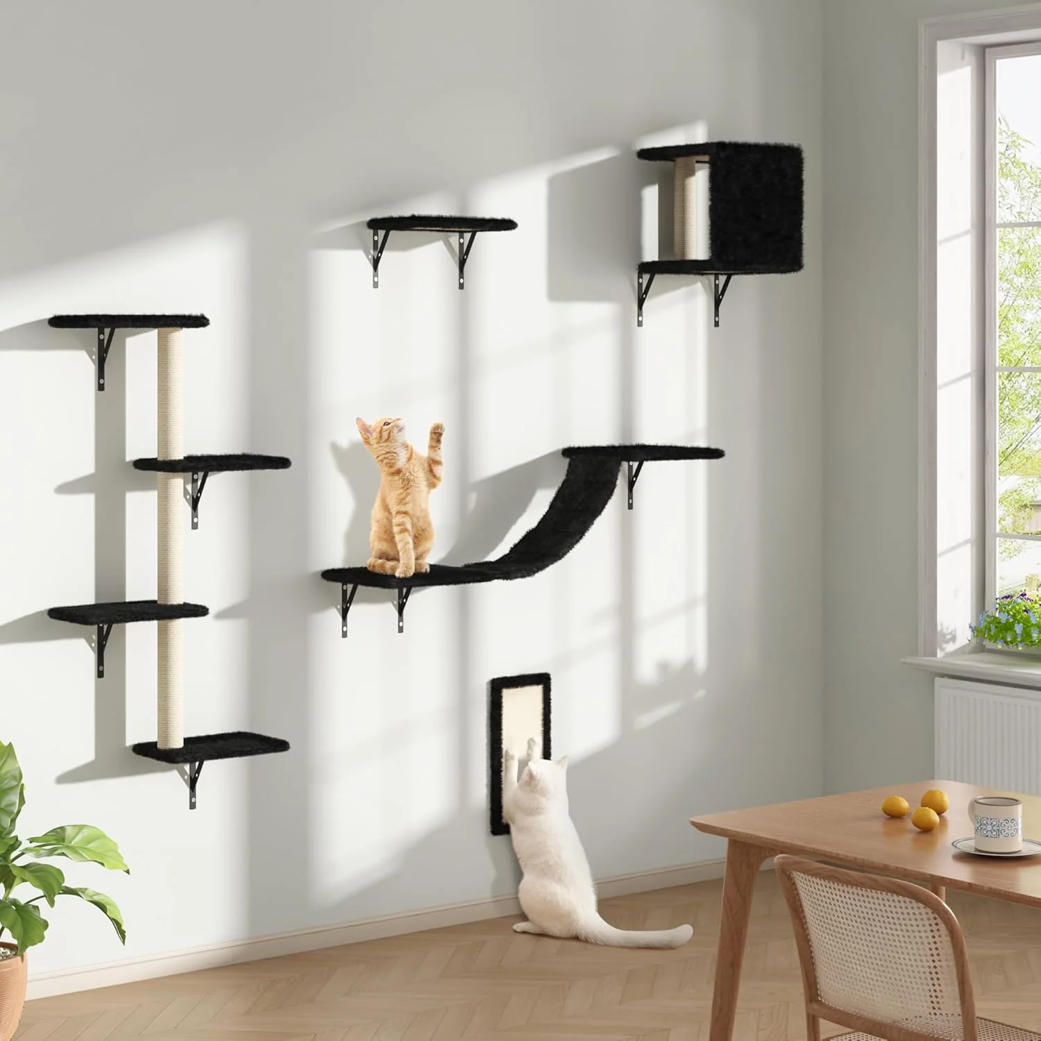 Solid COZIWOW Wall Mounted Cat Furniture Cat Wall Shelves and Perches Floating Cat Shelves for Wall Set of 5 Black High-Grade