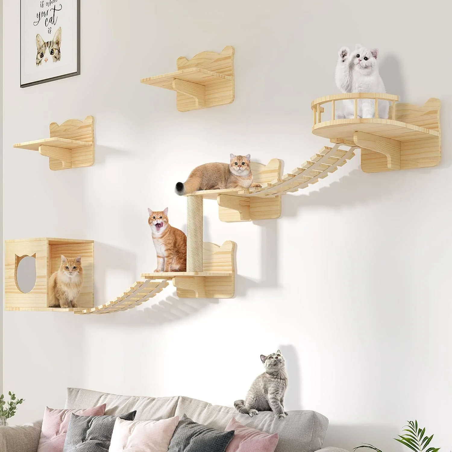 Carefully Designed Cat Wall Shelves Cat Wall Furniture Pine Wooden Feline Shelf 9 Piece Shelves and Perches with Bed House Steps Bridge Ladder and Scratching Post Reusable