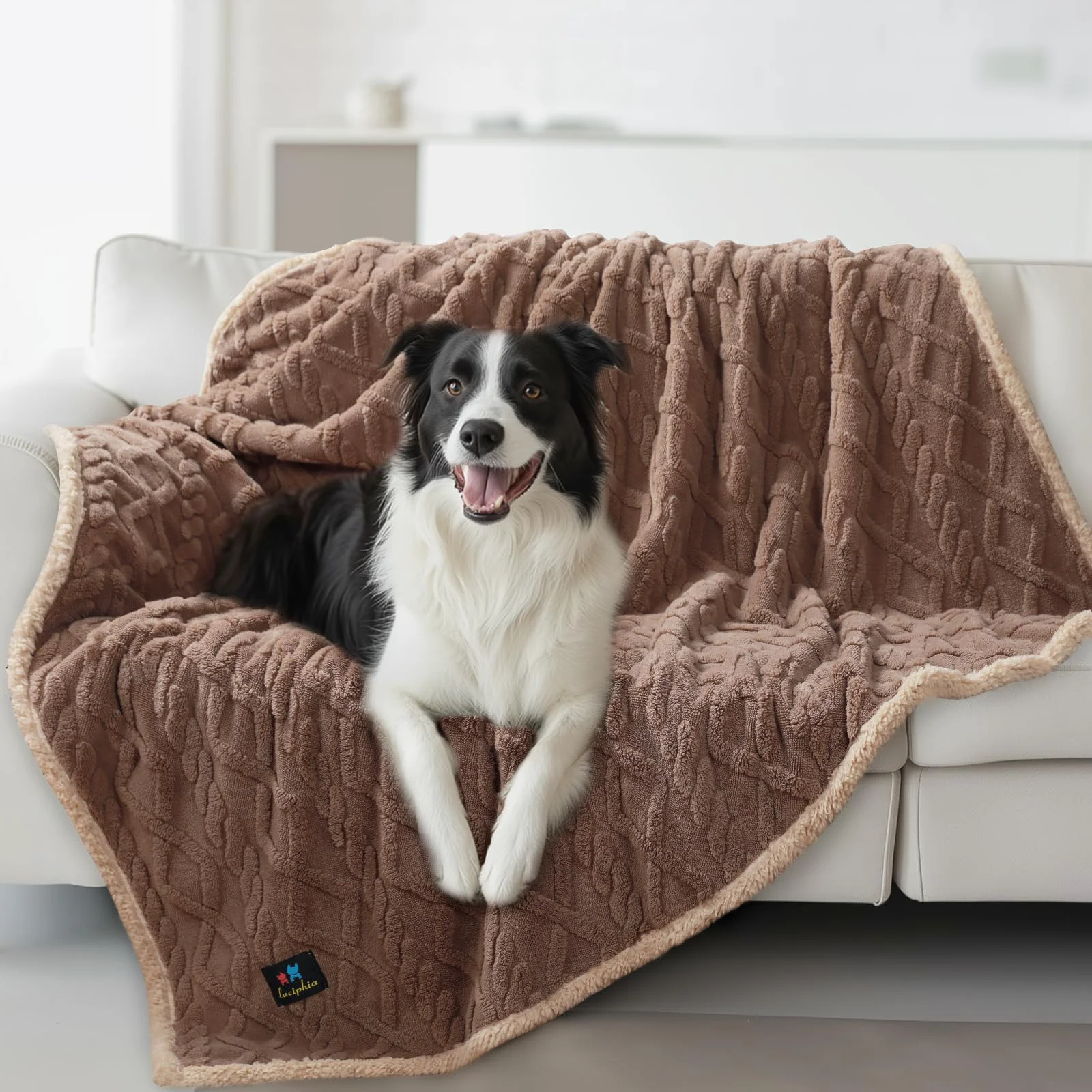 Fine Crafted Luciphia Waterproof Pet Blanket – Reversible Sherpa Fleece Sofa Protector 65x57 Khaki Dependable