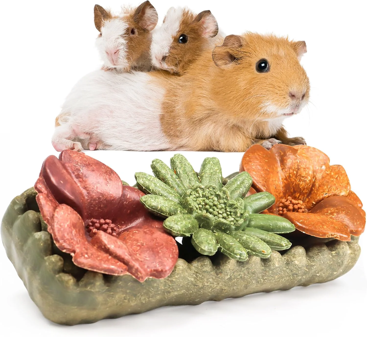 Detailed TEEWY 4PCS Guinea Pig Chew Toys Prevent Teeth Overgrowth Natural Vegetables and Timothy Grass Hamster Chew Toys Guinea Pig Toys Chinchilla Toys Grass Patch Flowers Breathable