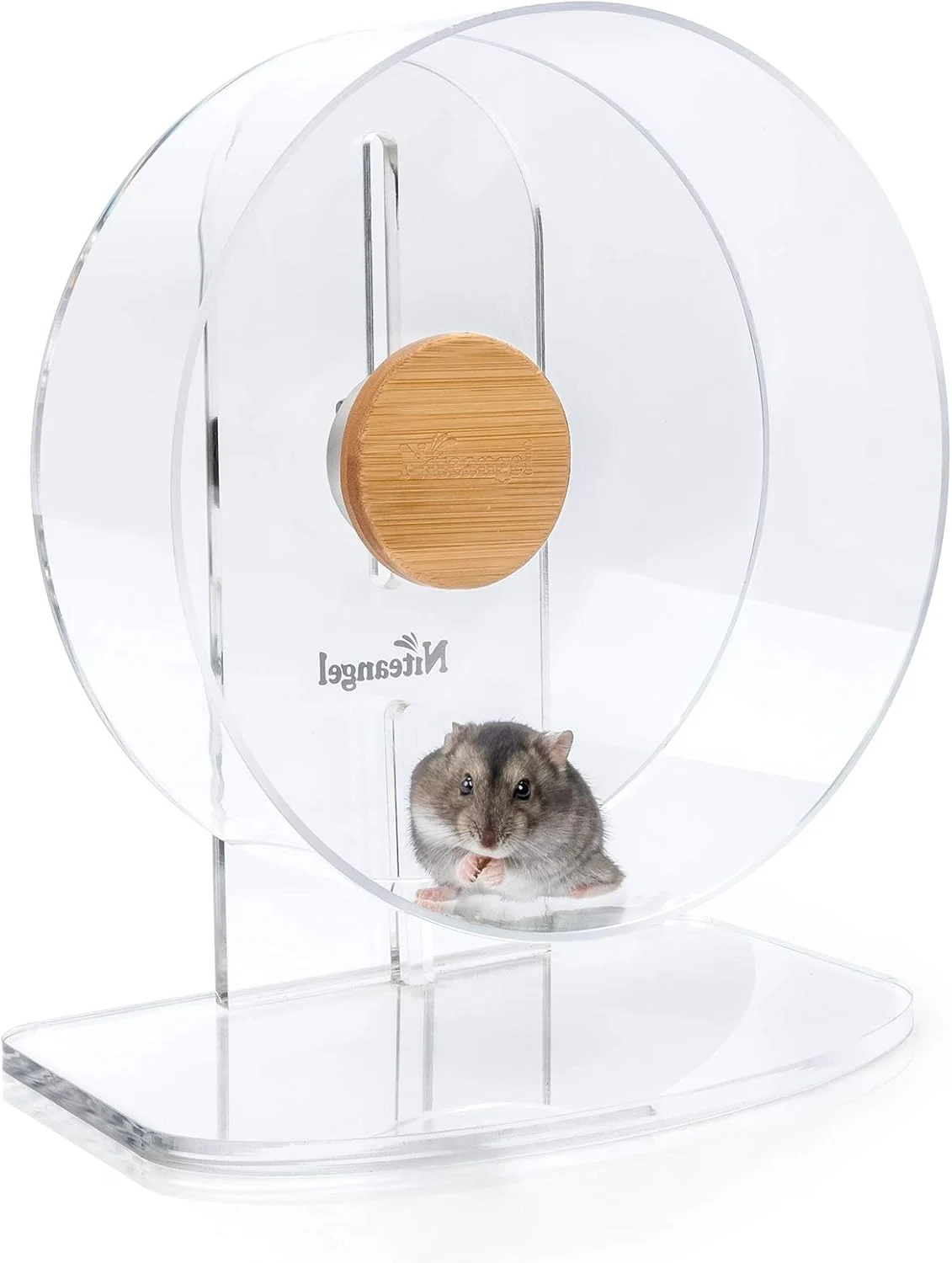 Fine Niteangel Silent Hamster Exercise Wheel - Dual-Bearing Quiet Spinning Acrylic Hamster Running Wheel for Dwarf Hamster Gerbils Mice Degus Or Other Small Animals S Fine Crafted