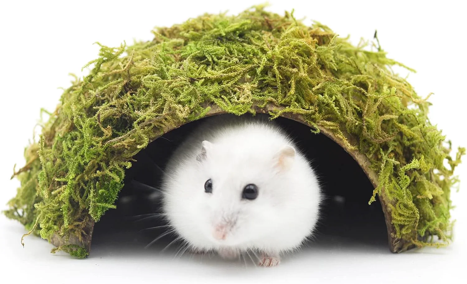 High-Quality Hamster Hideaway Hideout Mossy Cave Hide Hamster House Hides Hamster Cage Accessories for Gguinea Pig Hedgehogs Gliders Rats Mice and Other Small Animals Small Detailed