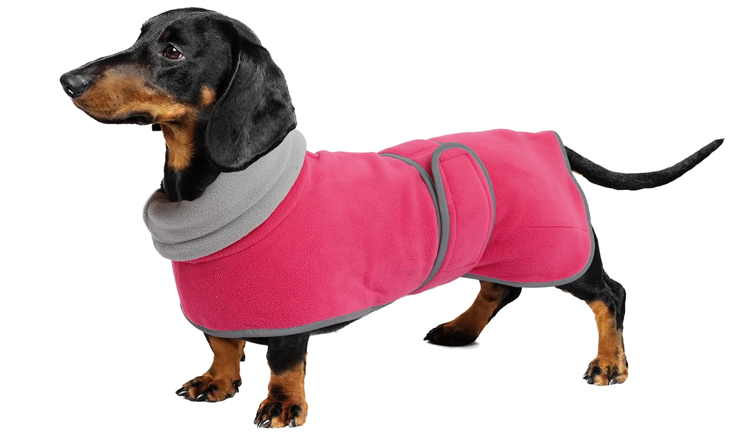 Advanced Geyecete Dachshund Coat – Waterproof Winter Sweater with Fleece Lining Pink M Breathable