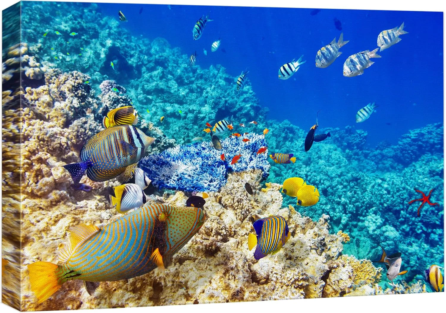 Authentic wall26 Canvas Print Wall Art Underwater Neon Blue Teal Ocean Water Fish Nature Animals Photography ism Rustic Scenic Landscape Wilderness Earth for Living Room Bedroom Office - 32 x48 Next-Generation