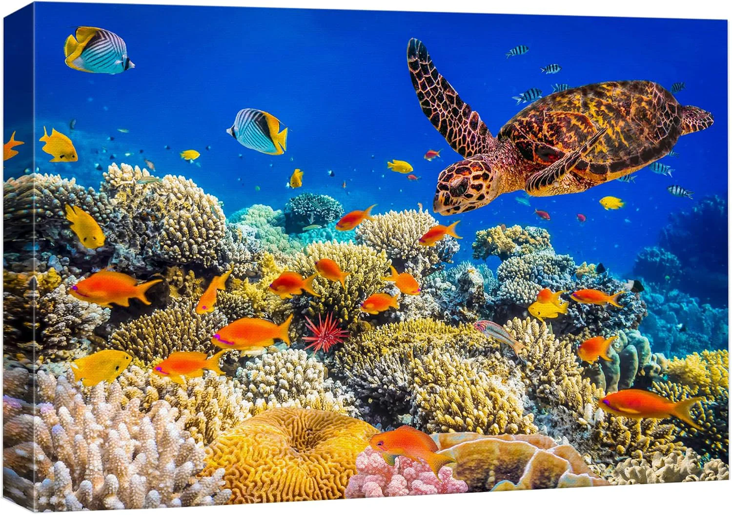 Sophisticated wall26 Canvas Print Wall Art Neon Coral Reef Blue Hippo Tang Fish Turtle Nature Animals Photography ism Rustic Scenic Landscape Wilderness Colorful for Living Room Bedroom Office - 12 x18 First-Class