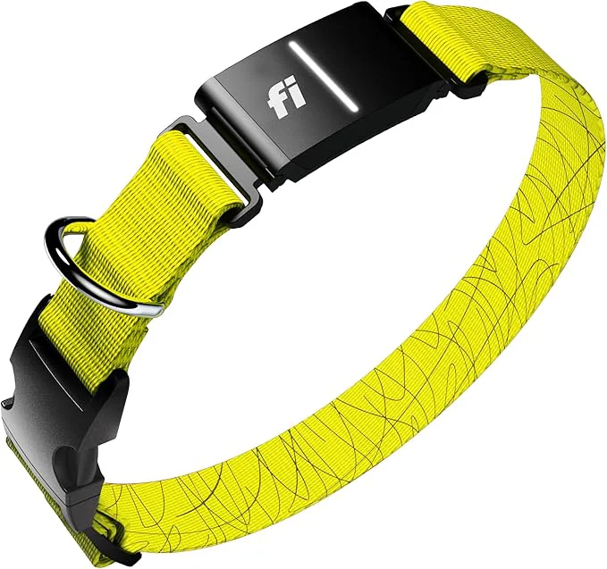 Sophisticated New Fi Series 3 Smart Dog Tracker Collar GPS Tracker Fast