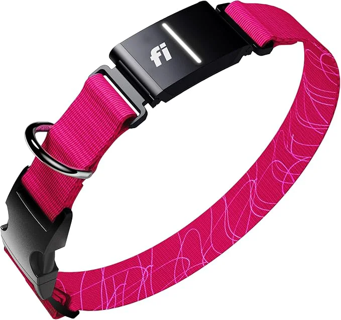Verified New Fi Series 3 Smart Dog Tracker Collar GPS Tracker Prestigious
