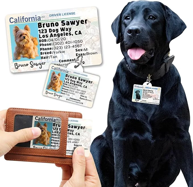 Classic PawFurEver Personalized Dog Driver License ID Tag Sophisticated