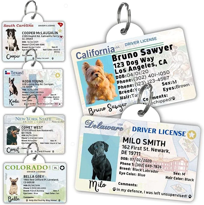 Carefully Designed PawFurEver Personalized Dog Driver License ID Tag Clean