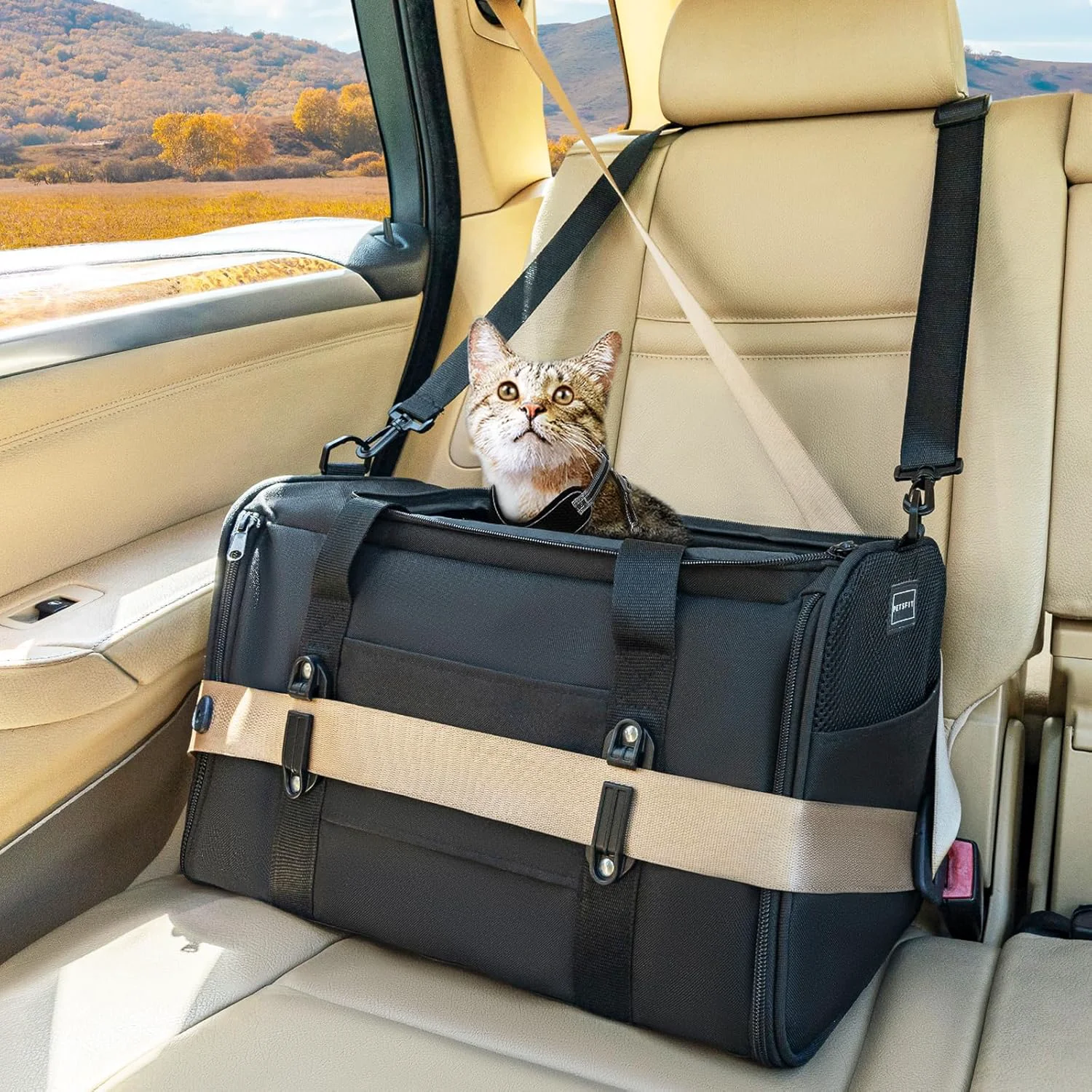 High-Performance PETSFIT Soft-Sided Cat Carriers Car Seats with Patent Safe Buckles Clip-On Harness 18 x11 x11 Airline Pet Carrier - 9 lbs Capacity Black Certified