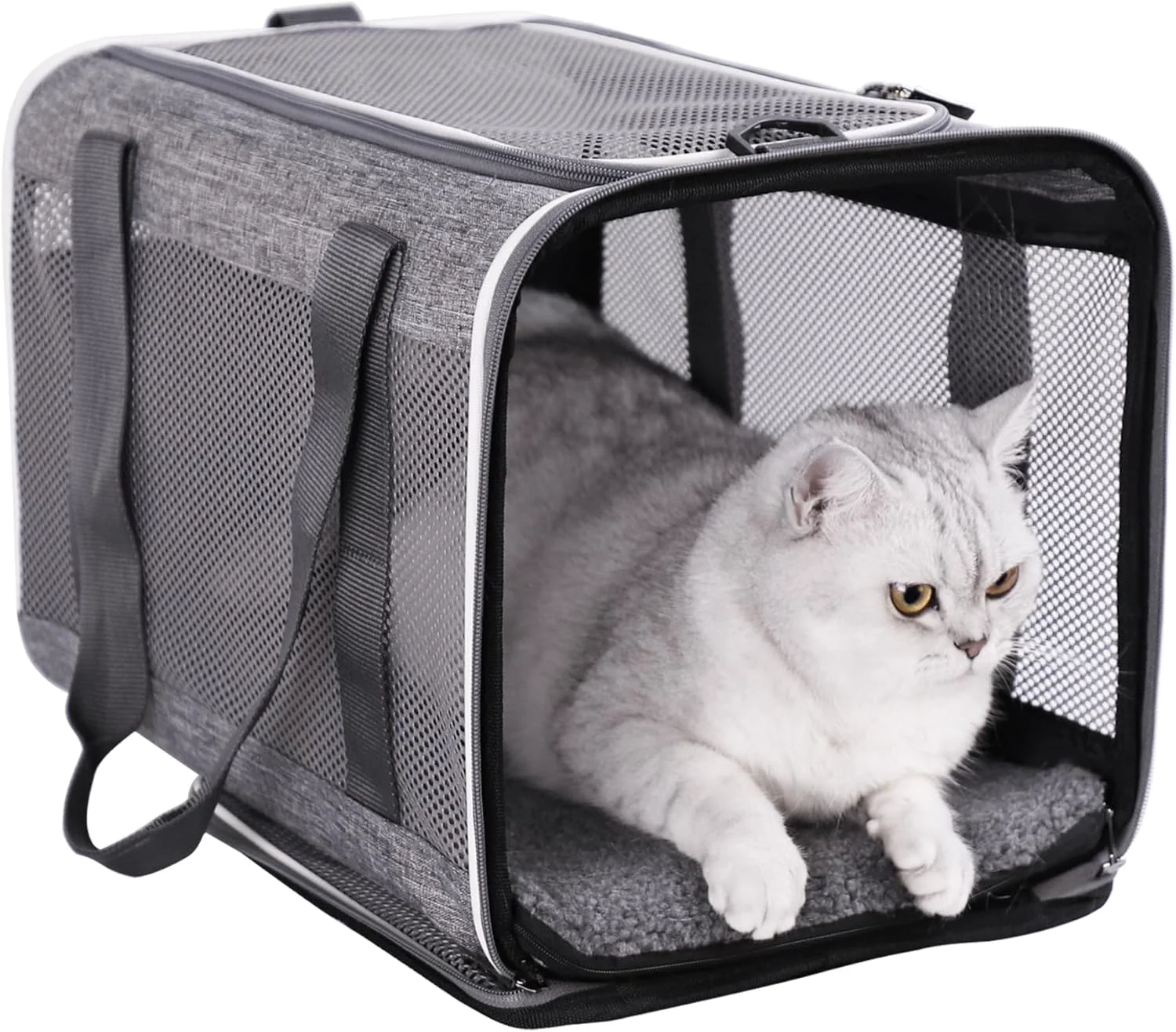 Outstanding petisfam Soft Pet Carrier Bag for Cats and Puppy Under 20 lbs. Sturdy Safe Comfortable and Lightweight Optimized