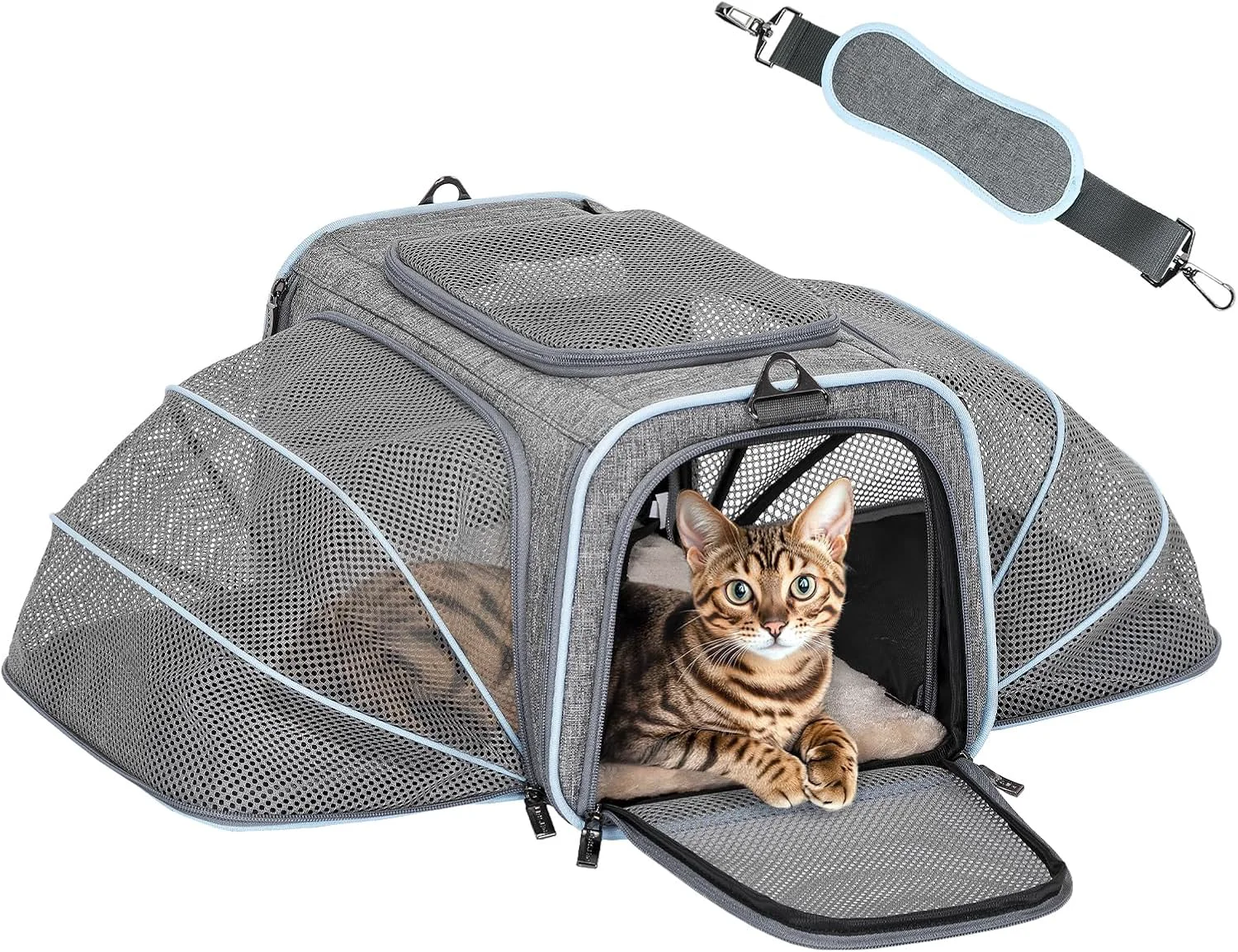 Stylish Petsfit Expandable Small Cat Carriers Dog Carrier Airline Soft-Sided Portable Washable Pet Travel Carrier with Two Extension Up to 9LB Outstanding
