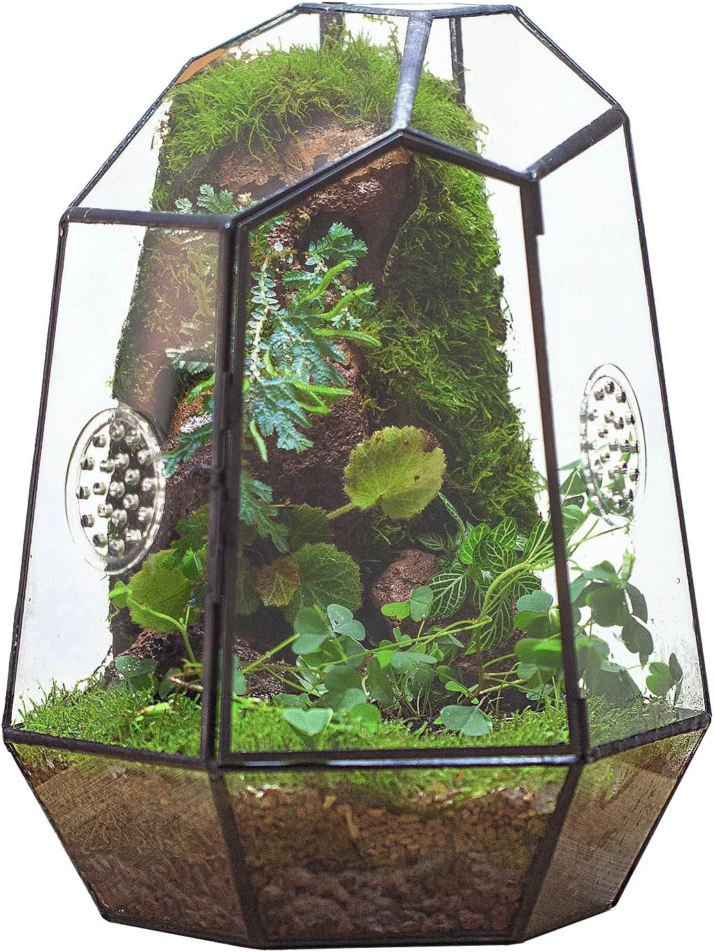 Fine Crafted NCYP Closed Geometric Glass Enclosure with Front Opening Door 2 Vent Holes for Insects Succulent Cacti - 7.9 x6.9 x9.8 Black Irregular Terrarium Planter - Home Garden Tabletop Decor No Plants Durable