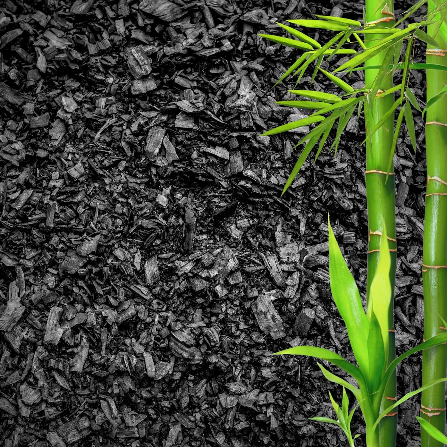 Luxury Horticultural Charcoal for Plants – Organic Bio Char Soil Amendment for Terrariums Indoor Plants Gardening Made in USA 3 quarts Reusable
