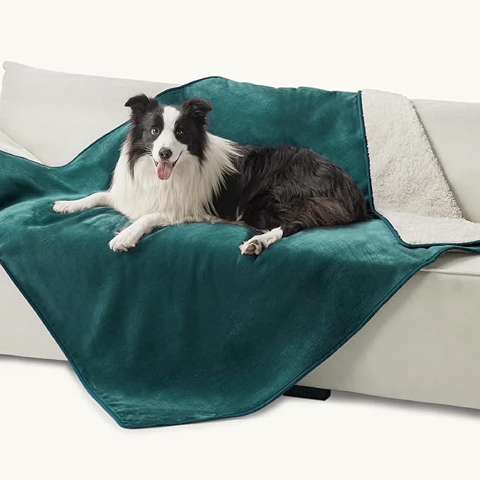 Dependable Bedsure Cat Blanket for Indoor Cats Advanced