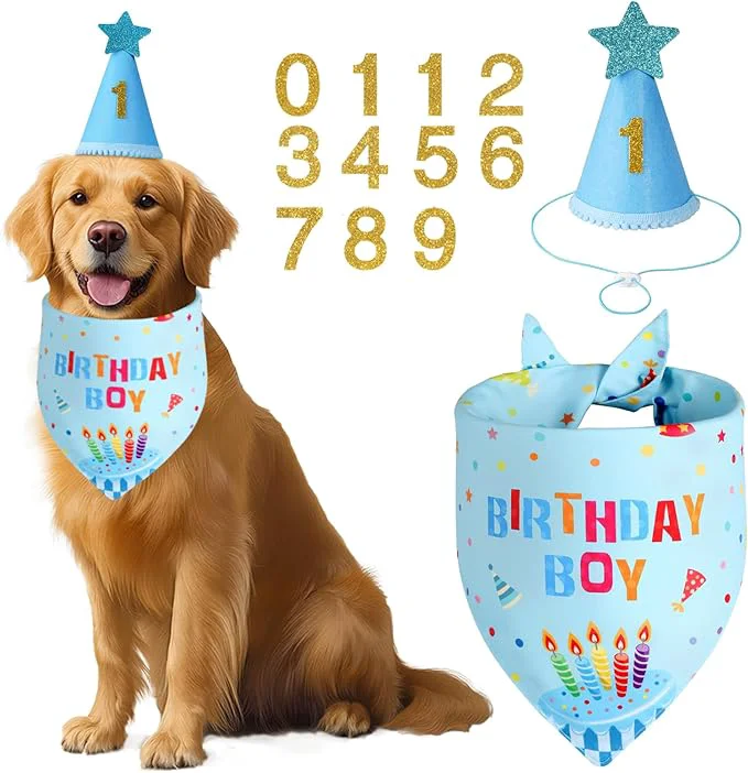 World-Class Dog Birthday Party Supplies High-Grade