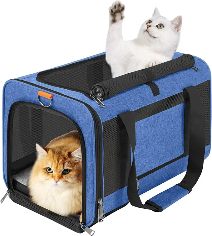 Trusted Pet Carrier Large Cats 20 lbs Top Load Soft Sided Small Dog Travel Carriers Collapsible Carrier Bag for Medium Cat Puppy Sturdy Transport Carriers Long Trips Medium Cats 15 pounds BlueAbout ThisOverview Innovative