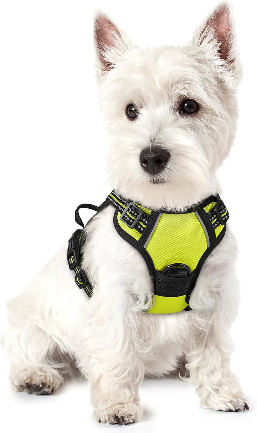 Carefully Designed rabbitgoo Dog Harness No Pull with 2 Leash Clips Adjustable Soft Padded Reflective Oxford No Choke Pet Vest with Easy Control Handle for Puppy Green XS Durable