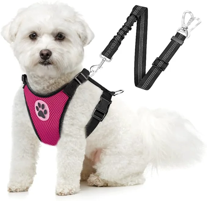 Unique SlowTon Dog Seat Belt Harness for Car Dog Car Harness Adjustable Mesh Breathable Dog Seatbelt Safety Tether with Elastic Bungee for Small Medium Large Pets Fuchsia Double Clip XS About ThisOverview Elegant