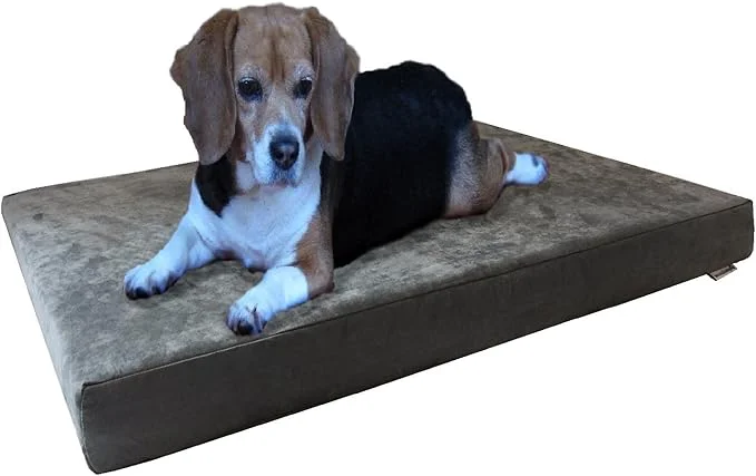 Smooth Dogbed4less Orthopedic Gel Infused Memory Foam Dog Bed with Washable Suede Gray Cover and Waterproof Internal Liner Medium LargeAbout ThisOverview Prestigious