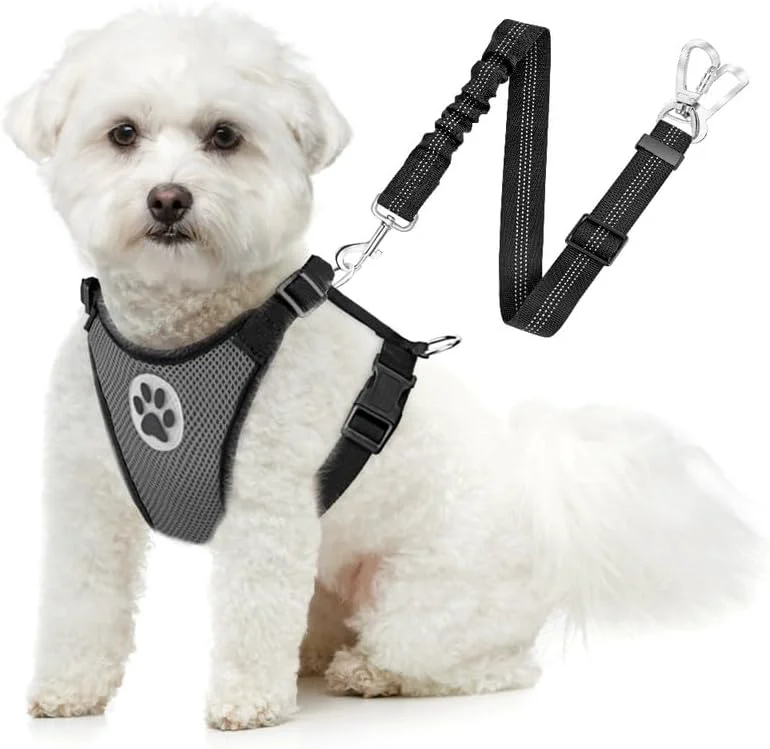 Authentic SlowTon Dog Seat Belt Harness for Car Dog Car Harness Adjustable Mesh Breathable Dog Seatbelt Safety Tether with Elastic Bungee for Small Medium Large Pets Grey Double Clip XXXS Detailed