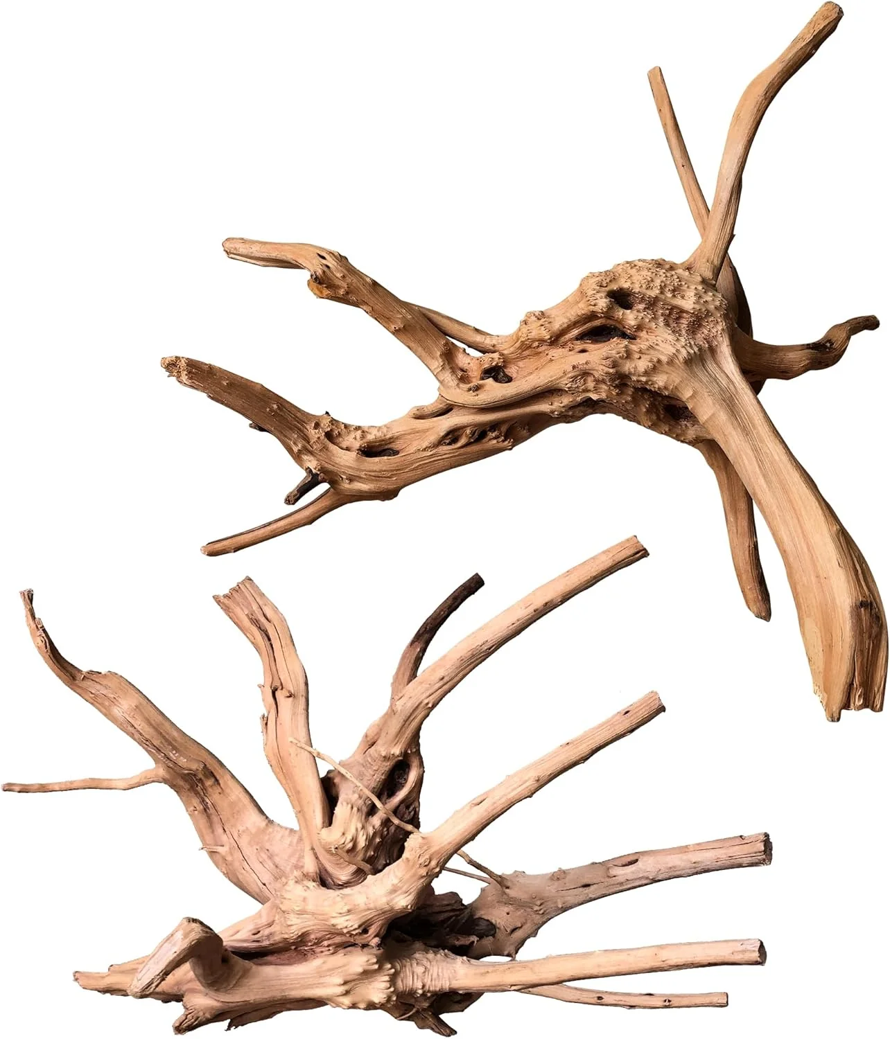 Safe majoywoo Natural Large Driftwood for Aquarium Decor Reptile Decor Assorted Spider Wood Branch 11-14 2 Pcs Fish Tank Decoration Easy-to-Use