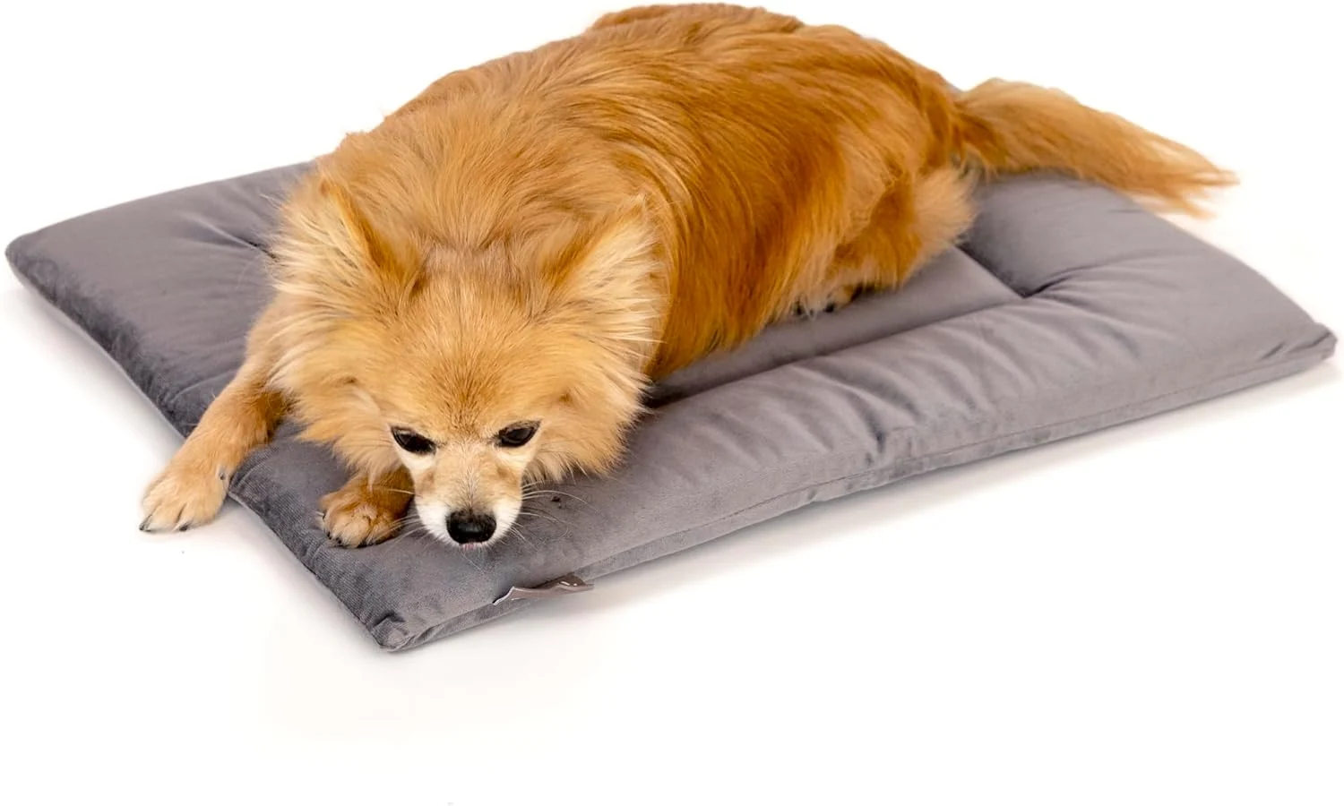 Artisan KindTail Dog Crate Pad - Soft Velvet Reversible Bed - Machine Washable Kennel Mat for Pets up to 15 lbs Mattress for Cozy Sleeping - 20 x 15 x 1 Dark Grey Small Easy-to-Use