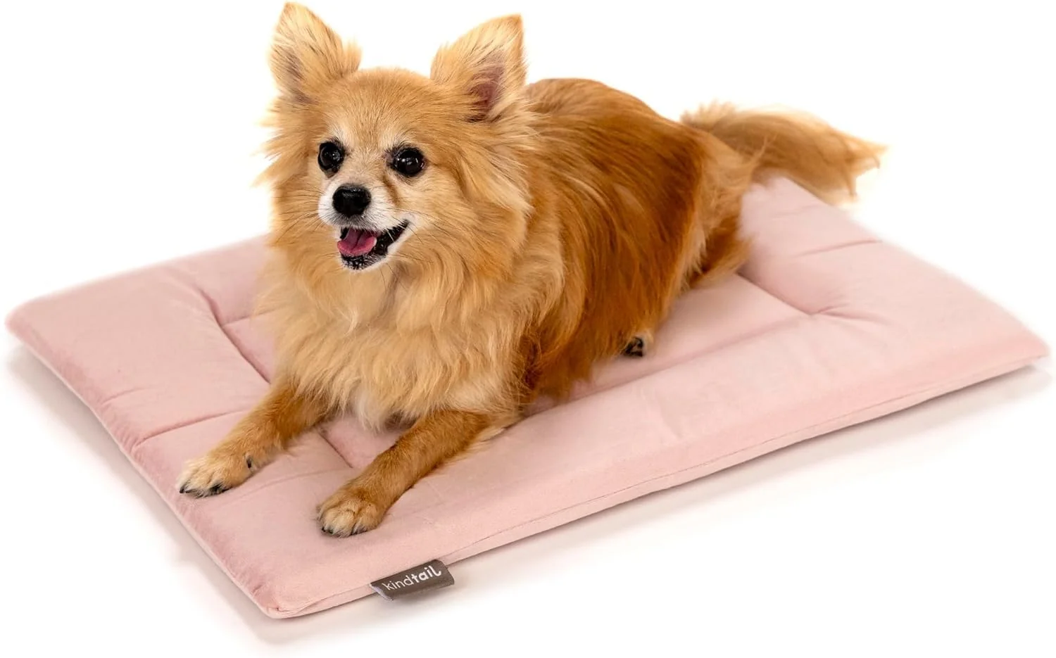 Trusted KindTail Dog Crate Pad - Soft Velvet Reversible Bed - Machine Washable Kennel Mat for Pets up to 15 lbs Mattress for Cozy Sleeping - 20 x 15 x 1 Pink Small Minimalist
