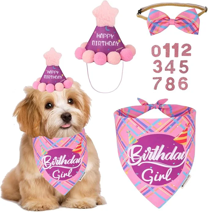 High-Quality ADOGGYGO Dog Birthday Party Supplies Casual