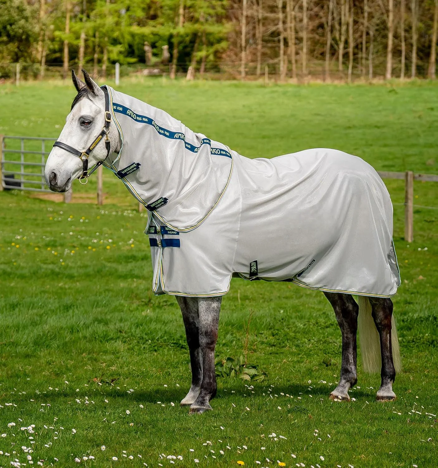 Fashionable Horseware® Amigo® Bug Rug Fly Sheet 0g Light Breathable