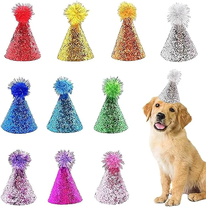 Natural 10 Pcs Dog Birthday Hat Set for Small Medium Dogs Cat Puppies Mini Party Hat Official
