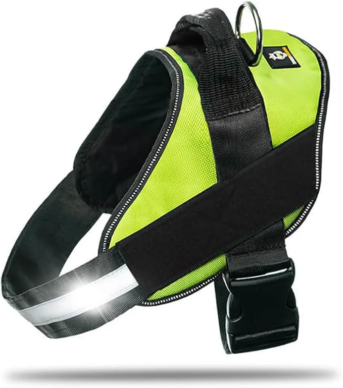 Consistent Non Pull Dog Harness with Patch Panels and Handle Adjustable Reflective No Choke Heavy Duty Easy On Service Dog Vest Harnesses for Medium Large Small Sized Dogs - Green 2XLAbout ThisOverview Innovative