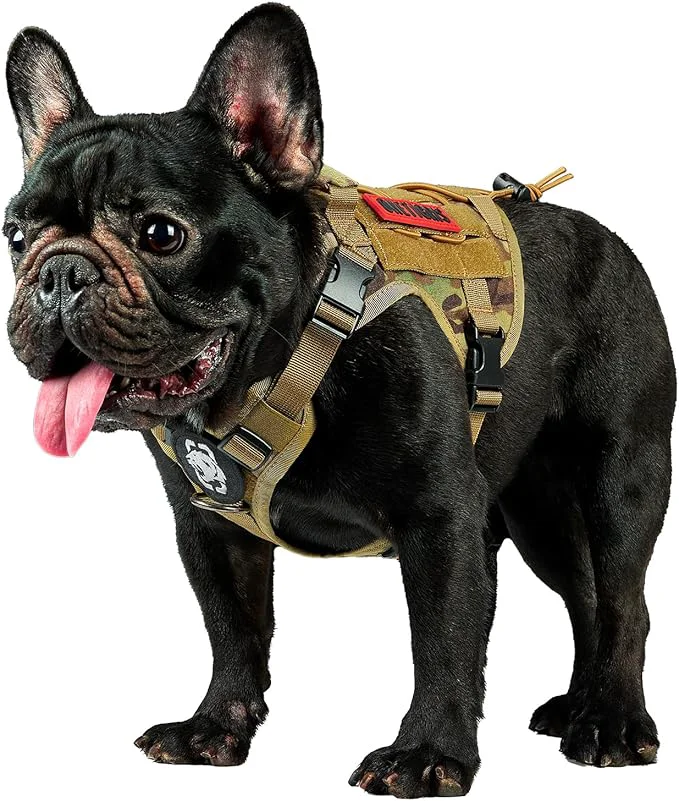 Detailed OneTigris Tactical Dog Harness Vest No-Pull Service Dog Vest with Hook Loop Panels Adjustable Dog Vest Harness for Walking Hiking Training Camo XXS About ThisOverview Dependable