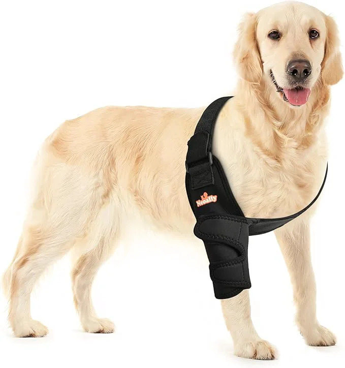 Next-Generation NeoAlly Breathable Dog Elbow Brace Protector Pads for Canine Elbow and Shoulder Support Elbow Hygroma Dysplasia Osteoarthritis Elbow Calluses Pressure Sores and Shoulder Dislocation Right Large About ThisOverview World-Class