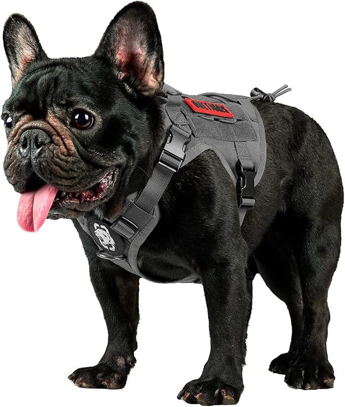 Sophisticated OneTigris Tactical Dog Harness Vest No-Pull Service Dog Vest with Hook Loop Panels Adjustable Dog Vest Harness for Walking Hiking Training Grey XXS About ThisOverview Carefully Designed