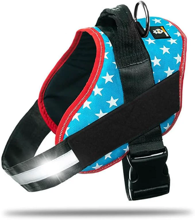 Efficient Non Pull Dog Harness with Patch Panels and Handle Adjustable Reflective No Choke Heavy Duty Easy On Service Dog Vest Harnesses for Medium Large Small Sized Dogs - Light Blue XSAbout ThisOverview Trendy
