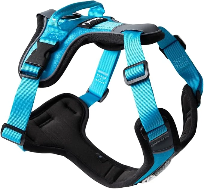World-Class ShawnCo Basecamp Dog Harness No-Pull Pet Vest with 3 Leash Clips Padded Reflective Lightweight and Adjustable Harness with Handle for Small Medium and Large Dogs Oceanic Blue S About ThisOverview Convenient