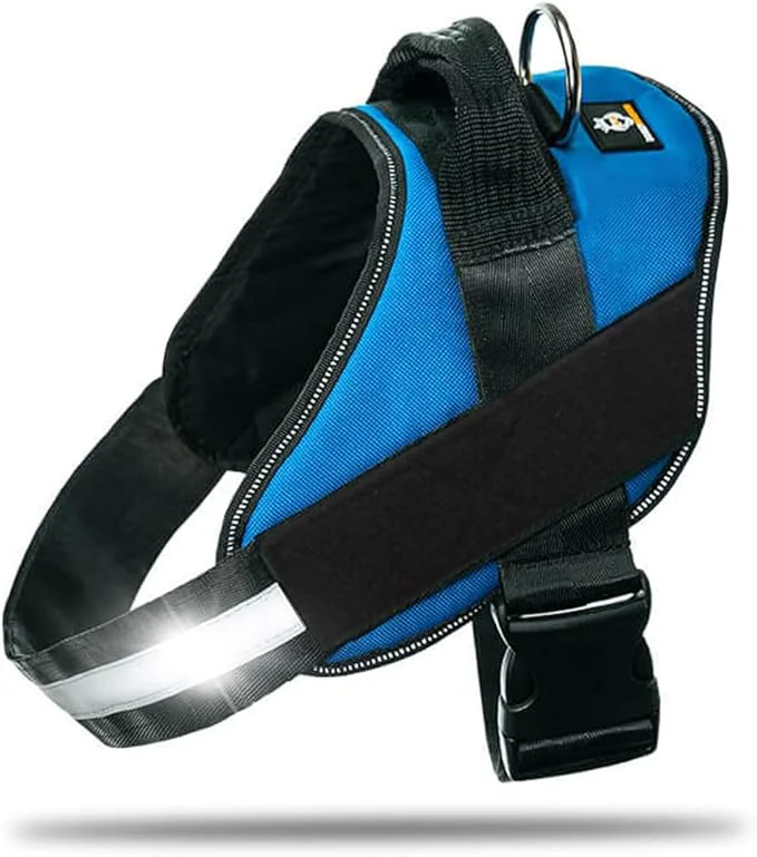 Trusted Non Pull Dog Harness with Patch Panels and Handle Adjustable Reflective No Choke Heavy Duty Easy On Service Dog Vest Harnesses for Medium Large Small Sized Dogs - Blue SAbout ThisOverview Superior