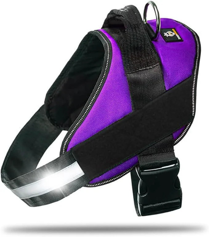 Specialty DOGGYKINGDOM Non Pull Dog Harness with Patch Panels and Handle Adjustable Reflective No Choke Heavy Duty Easy On Service Dog Vest Harnesses for Medium Large Small Sized Dogs - Purple XLAbout ThisOverview Sustainable