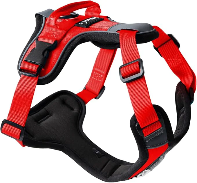 Traditional ShawnCo Basecamp Dog Harness No-Pull Pet Vest with 3 Leash Clips Padded Reflective Lightweight and Adjustable Harness with Handle for Small Medium and Large Dogs Mustang Red XL About ThisOverview Versatile