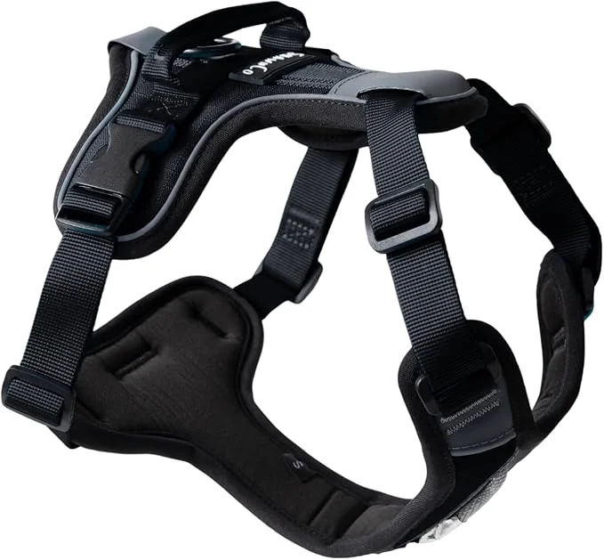 World-Class ShawnCo Basecamp Dog Harness No-Pull Pet Vest with 3 Leash Clips Padded Reflective Lightweight and Adjustable Harness with Handle for Small Medium and Large Dogs Midnight XL About ThisOverview Minimalist