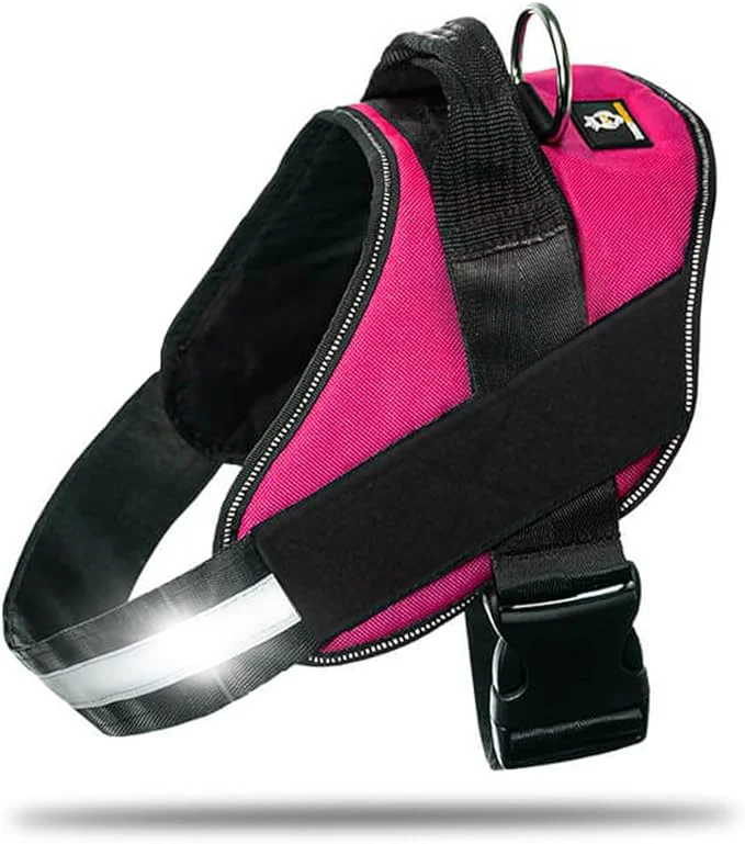 Artisan Non Pull Dog Harness with Patch Panels and Handle Adjustable Reflective No Choke Heavy Duty Easy On Service Dog Vest Harnesses for Medium Large Small Sized Dogs - Rose Red XSAbout ThisOverview Verified
