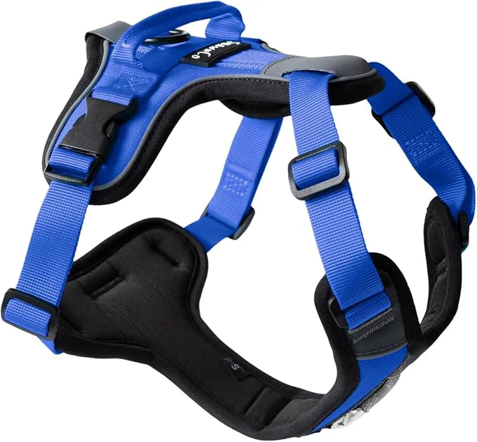 World-Class ShawnCo Basecamp Dog Harness No-Pull Pet Vest with 3 Leash Clips Padded Reflective Lightweight and Adjustable Harness with Handle for Small Medium and Large Dogs Electric Blue XS About ThisOverview High-Performance