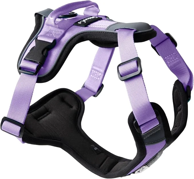 Sophisticated ShawnCo Basecamp Dog Harness No-Pull Pet Vest with 3 Leash Clips Padded Reflective Lightweight and Adjustable Harness with Handle for Small Medium and Large Dogs ICY Lilac S About ThisOverview Convenient